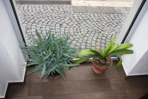 Art Hotel Podebrady