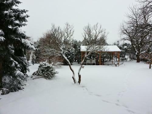 Hostal Penzion Sport