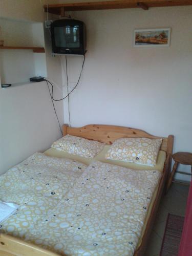 Hostal Penzion U Vejvodu