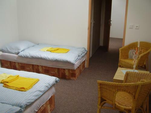 Hostal Penzion U Hradeb