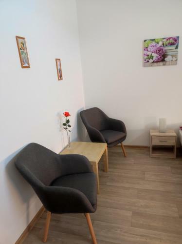 Hostal Penzion U Hradeb