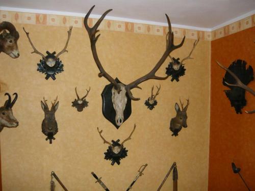 Hostal Kotrba Privat