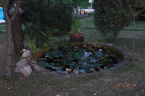 Hostal Villa Blanka