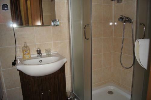 Hostal Penzion Modr� Jelen