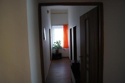 Hostal Penzion Modr� Jelen