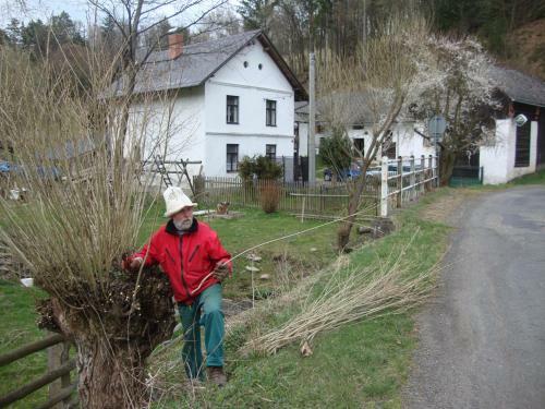 Hostal Petrovick� Ml�n