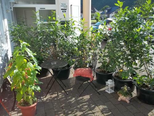 Apartamento Ferienhaus Zabel
