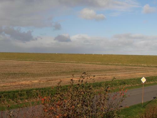 50006 Haus Deichkieker