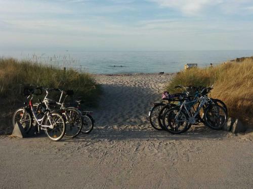 Apartamento Ferienwohnung M�we Sch�nberg