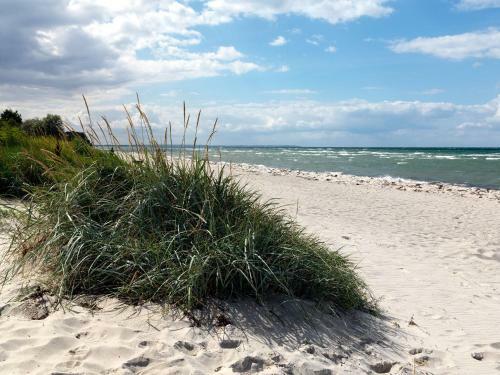 Apartamento Haus Sonnenschein Seegras