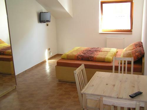 Hostal Penzion U Zamku