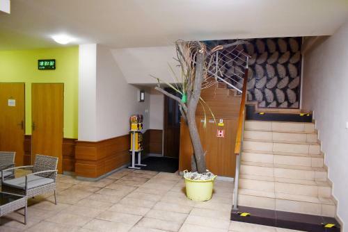 Hotel Vrchovina