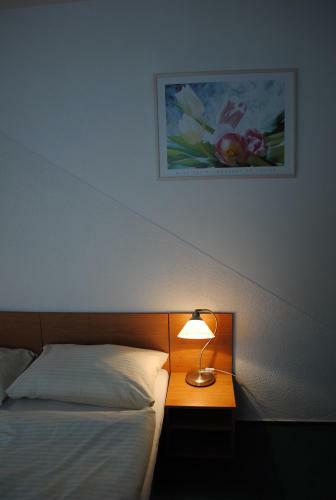 Hotel Allvet