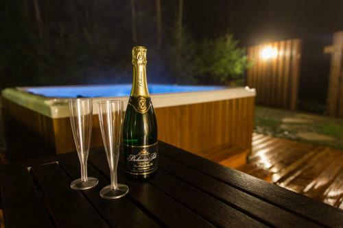 Hotel Resort Lesn� L�zn?