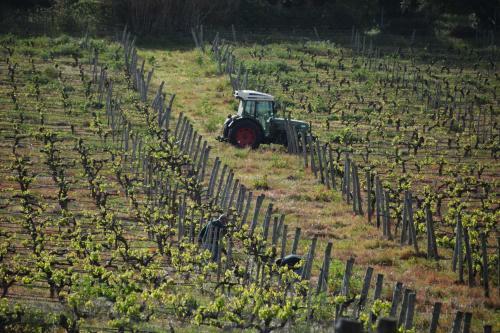 Hostal Quinta De Catralvos