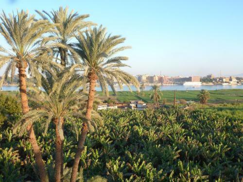Hotel Dream Island
