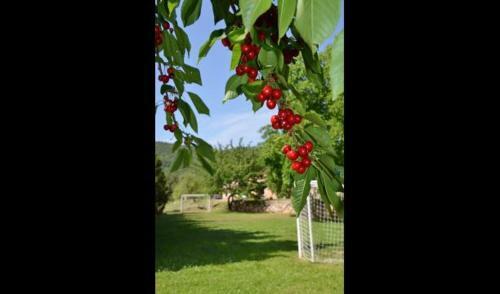 Villa In L' Albiol Sleeps 14 With Pool