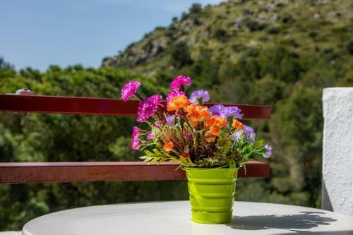 Apartamento Siesta