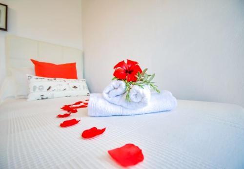 Es Barcares Villa Sleeps 6 With Pool Air Con And Wifi