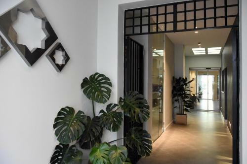 Apartamentos Ardales Premium