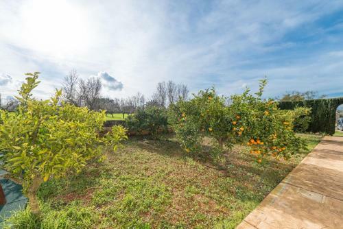 Villa Finca Calderitx