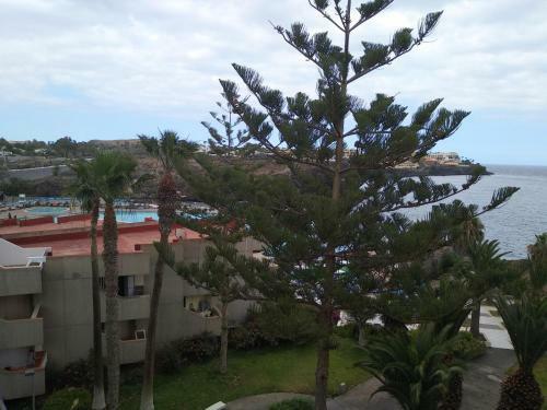 Garden View Apartment In Las Galletas