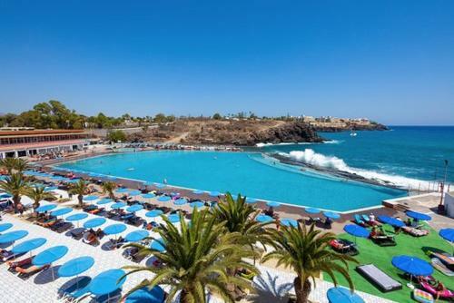Garden View Apartment In Las Galletas