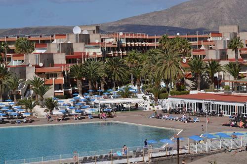 Garden View Apartment In Las Galletas