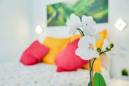 Apartamento Estudio Tajinaste
