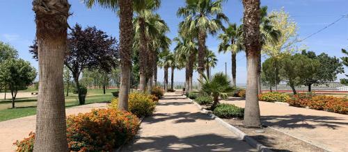 Apartamento Venus de Baeza Suite