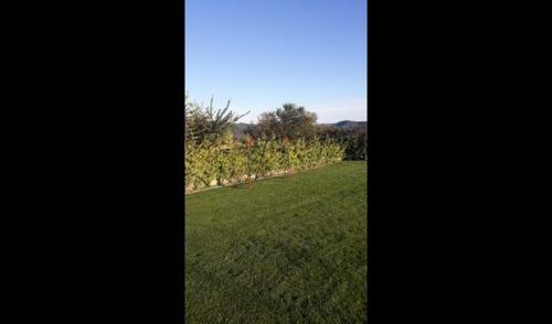 Avia Villa Sleeps 18 With Pool And Air Con