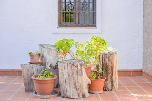 Apartamento El Almendro