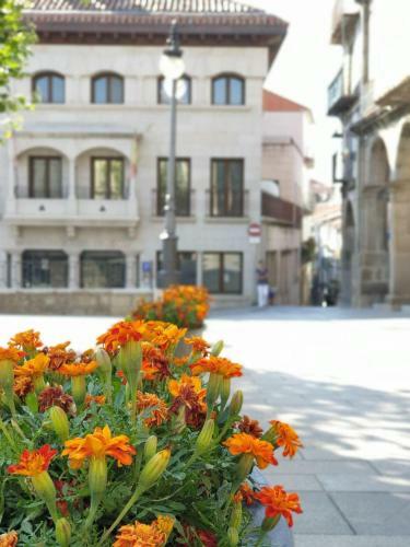 Apartamento Portales de Pizarro