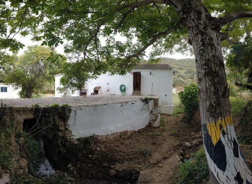Molino De Sim�n