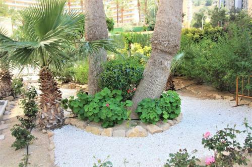 Apartamento Atico Levante Torre Montecarlo
