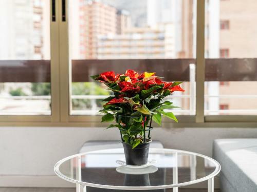 Apartment Benidorm