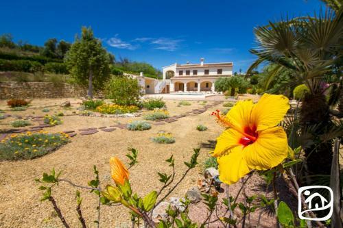 Abahana Villas La Maravilla