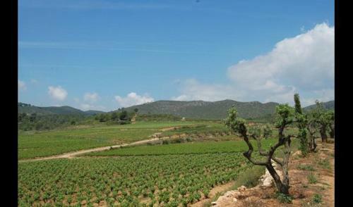 La Bisbal Del Penedes Villa Sleeps 13 With Pool