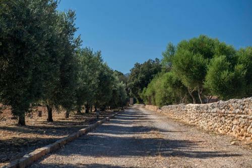 Finca Ses Planes