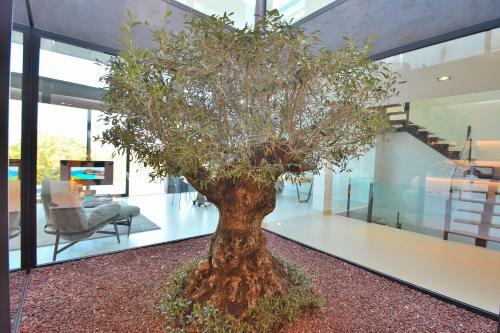 Montblau Villa Buger 049