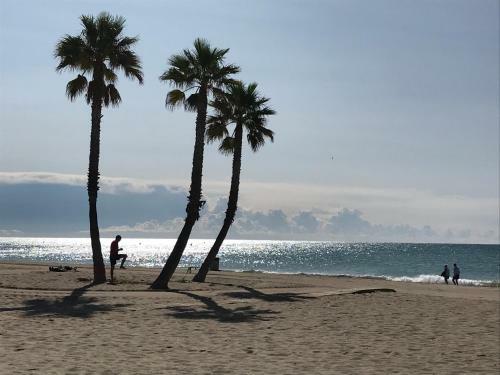 Apartamento Villa Service - Villa Rosa 4 1� 2�