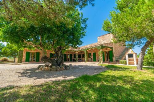 Villa Los Girasoles