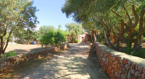 Sa Costa Campos Mallorca 411