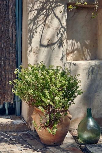 Casa Jasmin At Masia Nur Sitges