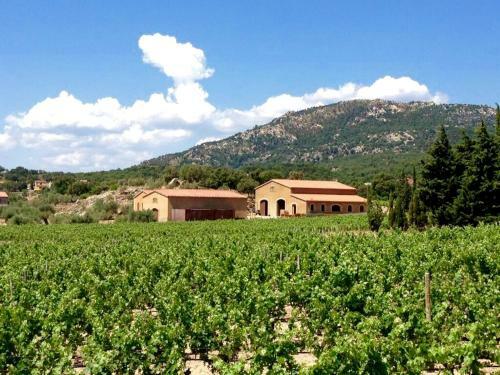 Agroturismo El Recer de Masia Serra