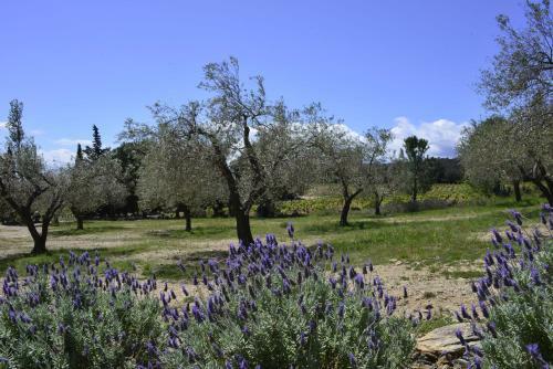 Agroturismo El Recer de Masia Serra
