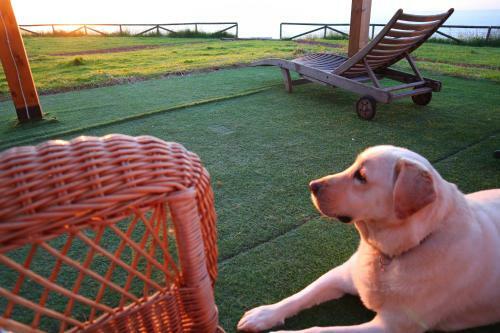 Bed & Breakfast La Cuadra Del Catal�n