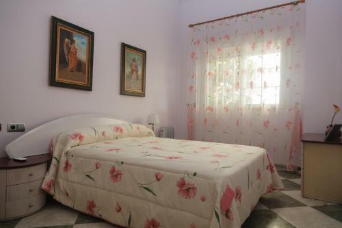 Luxury Villa In Playa Honda