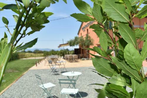 Hotel Restaurant Mas Ros