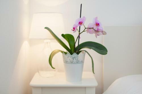 Apartamento Amalia Studios